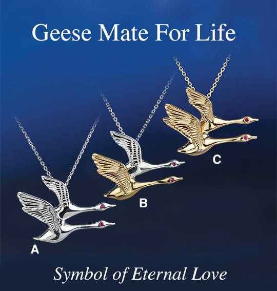 Geese Mate For Life
