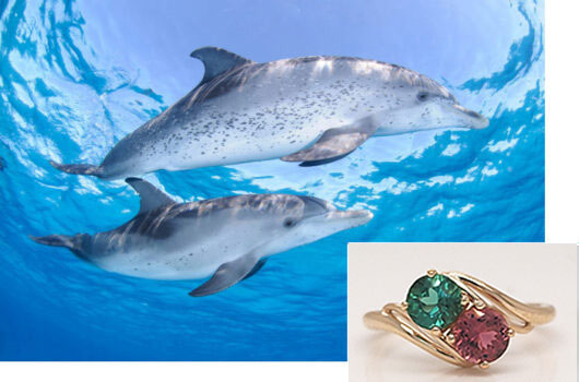 Diving Dolphins and Maine tourmaline ring