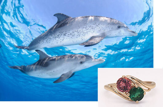 Diving Dolphins and Maine tourmaline ring