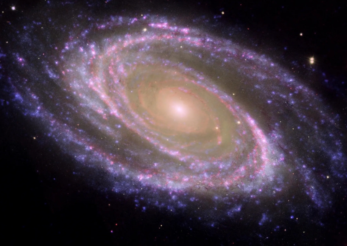 Messier 81